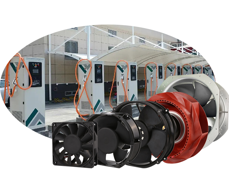 1714031583892014.jpg 网站用分类图.jpg